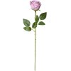 Clayre & Eef 6PL0369LPA Fiore artificiale Rosa Viola 9x9x61 cm