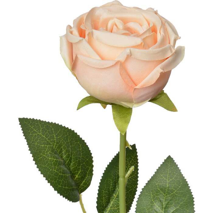 Clayre & Eef 6PL0369O Fiore artificiale di rosa 9x9x61 cm