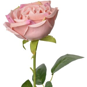 Clayre & Eef 6PL0369P Fiore artificiale di rosa...