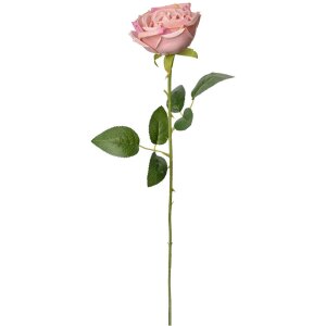 Clayre & Eef 6PL0369P Fiore artificiale di rosa 9x9x61 cm