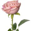 Clayre & Eef 6PL0369P Fiore artificiale di rosa 9x9x61 cm