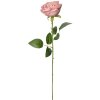 Clayre & Eef 6PL0369P Fiore artificiale di rosa 9x9x61 cm
