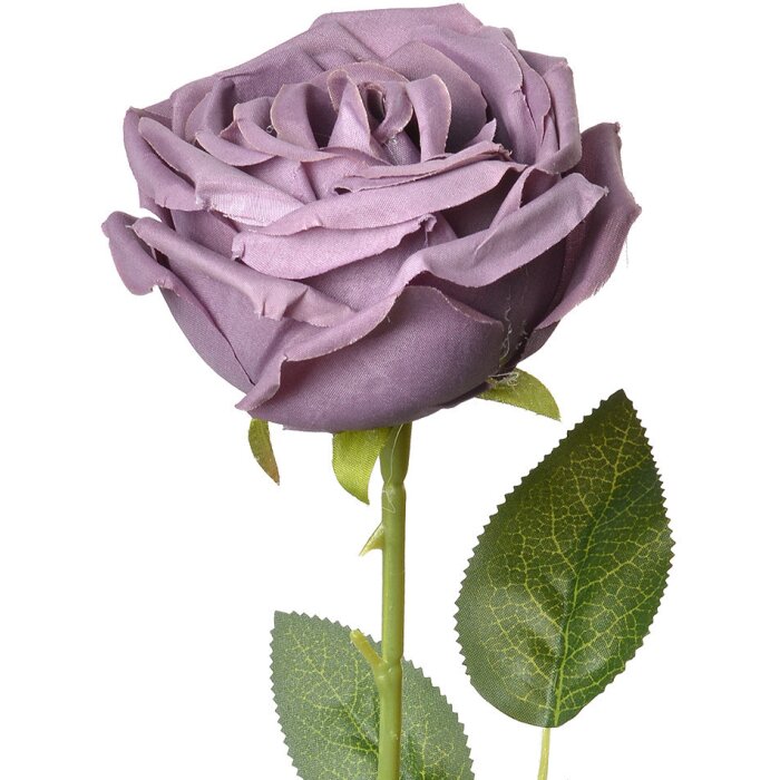Clayre & Eef 6PL0369PA Fiore artificiale Rosa Viola 9x9x61 cm