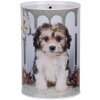 Clayre & Eef 6BL0163 Salvadanaio cane Ø 10x15 cm Bianco Marrone