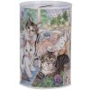 Clayre & Eef 6BL0169 Salvadanaio stile country motivo gatto Ø 8x13 cm