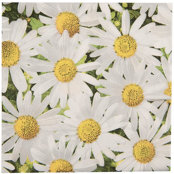 Clayre & Eef 73076 Tovaglioli di carta con margherite 33x33 cm 20 pezzi