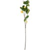Clayre & Eef 5PL0141 Ramo decorativo di limone giallo verde 10x7x73 cm