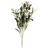 Clayre & Eef 6PL0371 Ramo decorativo verde oliva 10x10x55 cm