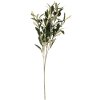 Clayre & Eef 6PL0371 Ramo decorativo verde oliva 10x10x55 cm