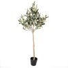 Clayre & Eef 5PL0149 Albero decorativo verde 20x20x90 cm plastica