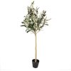 Clayre & Eef 5PL0149 Albero decorativo verde 20x20x90 cm plastica