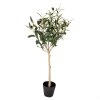 Clayre & Eef 5PL0150 Albero decorativo verde 15x15x70 cm