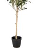 Clayre & Eef 5PL0150 Albero decorativo verde 15x15x70 cm