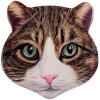 Clayre & Eef 6CE2065 Tappetino per gatti in ceramica marrone 20x20 cm Casa di campagna