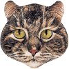 Clayre & Eef 6CE2069 Magnete testa di gatto in ceramica 7x7x1 cm stile country