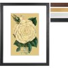 Cornice Goldbuch Rustiq in vero legno profilo passe-partout 10x15-40x50 cm