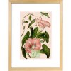 Cornice Goldbuch Rustiq in vero legno profilo passe-partout 10x15-40x50 cm