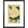 Cornice Goldbuch Rustiq in vero legno profilo passe-partout 10x15-40x50 cm