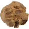 Mauro Ferretti palla decorativa in teak Ø40 cm marrone
