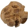 Mauro Ferretti palla decorativa in teak Ø40 cm marrone