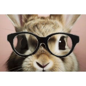 Mauro Ferretti murale Bunny con cornice 62,5x2,8x62,5 cm rosa