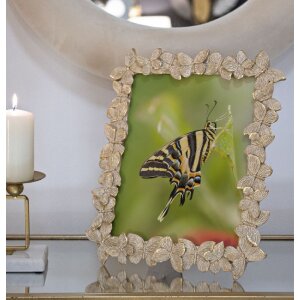 Mauro Ferretti cornice Farfalle 20x25 cm oro