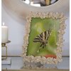 Mauro Ferretti cornice Farfalle 20x25 cm oro