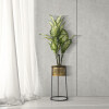 Mauro Ferretti portafiori singolo Ø 25x50 cm oro nero