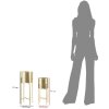 Mauro Ferretti Golvy set di 2 fioriere Ø 21x52 e 19x42 cm oro