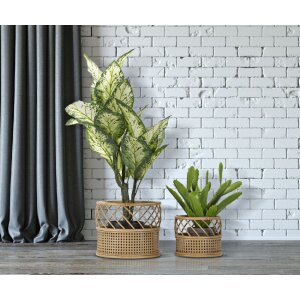 Mauro Ferretti portafiori Panama set di 2 Ø 30x25-22x18 cm marrone