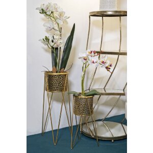 Mauro Ferretti portafiori Glod set di 2 21x20x46 e 18x18x32 cm oro