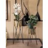 Mauro Ferretti Drak set di 2 portafiori 21x20x46 e 18x18x32 cm nero oro