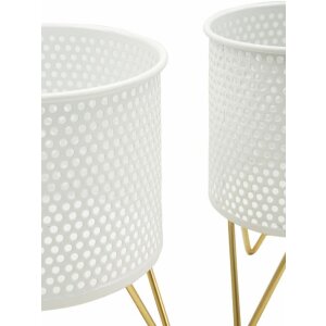 Mauro Ferretti Gaspy set di 2 portafiori Ø 16x20 e 13x20 cm oro bianco