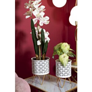 Mauro Ferretti Carly portafiori set di 2 Ø 16x20 e 13x20 cm oro bianco