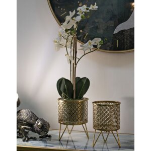 Mauro Ferretti Ceci set di 2 portafiori Ø 16x20 e 13x20 cm oro