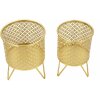 Mauro Ferretti Ceci set di 2 portafiori Ø 16x20 e 13x20 cm oro