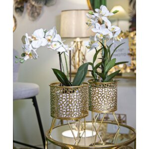 Mauro Ferretti Piny set di 2 portafiori Ø 16x20 e 13x20 cm oro