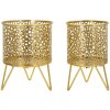 Mauro Ferretti Piny set di 2 portafiori Ø 16x20 e 13x20 cm oro