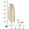 Mauro Ferretti ciotola decorativa foglia 18x2x55 cm oro