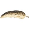 Mauro Ferretti ciotola decorativa foglia lunga 38x3x11 cm oro