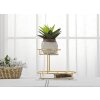 Mauro Ferretti ciotola decorativa 2 livelli 36x22,5x27 cm oro
