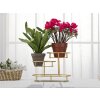 Mauro Ferretti ciotola decorativa 3 Livelli 36x22,5x27 cm oro