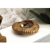 Mauro Ferretti ciotola decorativa Geris Ø 29x7 cm marrone