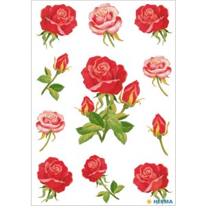 Etichette decorative decorazioni rose 3 fogli