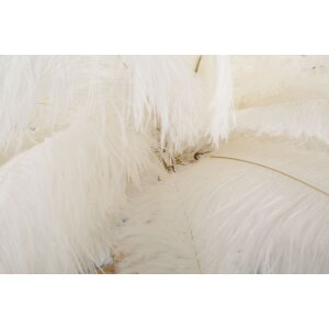Mauro Ferretti lampada da tavolo palma 2 luci E14 Ø 40x55 cm oro bianco