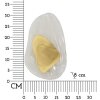 Luce da parete Mauro Ferretti Oceano Oro E14 21x8x31 cm oro bianco
