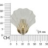 Lumino da pare Mauro Ferretti "Shell" E14, 20x14x22 cm oro naturale