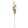 Clayre & Eef Ramo decorativo con fiori Beige Verde 80cm Plastica