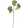 Clayre & Eef 5PL0166GR Decorazione Ramo con Fiori Verde 12x8x80 cm