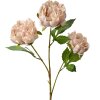 Clayre & Eef 5PL0166P Ramo decorativo con fiori rosa 12x8x80 cm